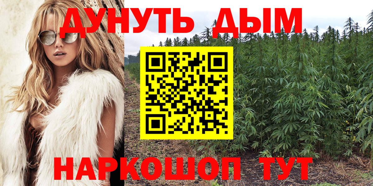 Конопля сатива  Канабис Ganja  Каннабис ГИДРОПОН  Кизляр  Бошки марихуана ГИДРОПОН  Вход с VPN 